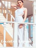 Ts escorts mi en 
